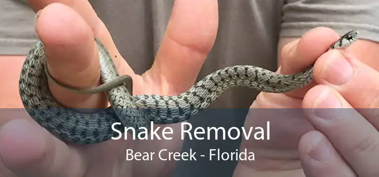 Snake Removal Bear Creek - Florida