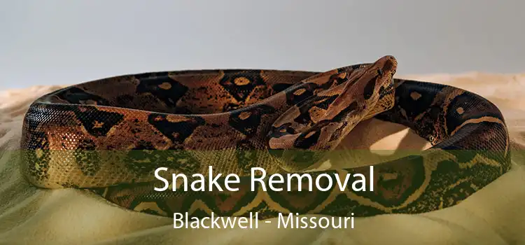 Snake Removal Blackwell - Missouri