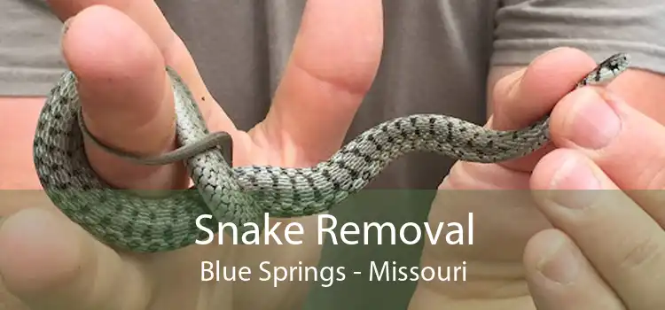 Snake Removal Blue Springs - Missouri