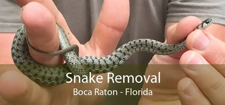 Snake Removal Boca Raton - Florida