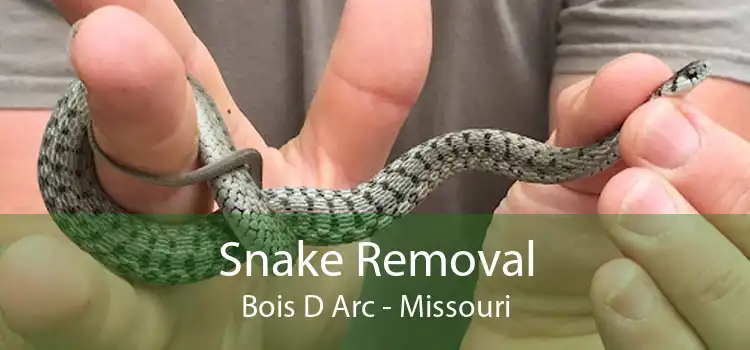 Snake Removal Bois D Arc - Missouri