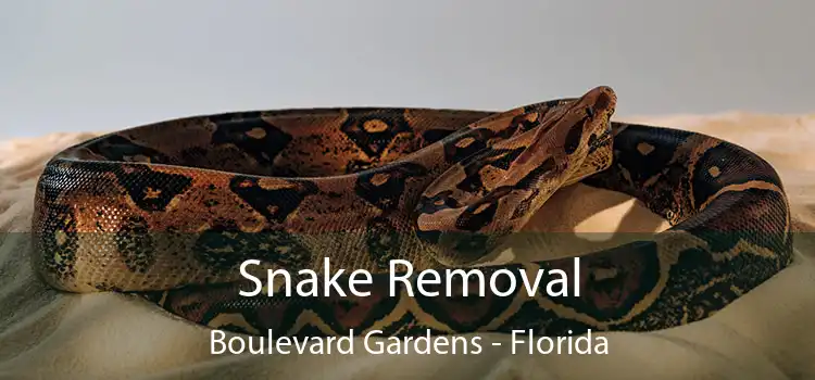 Snake Removal Boulevard Gardens - Florida