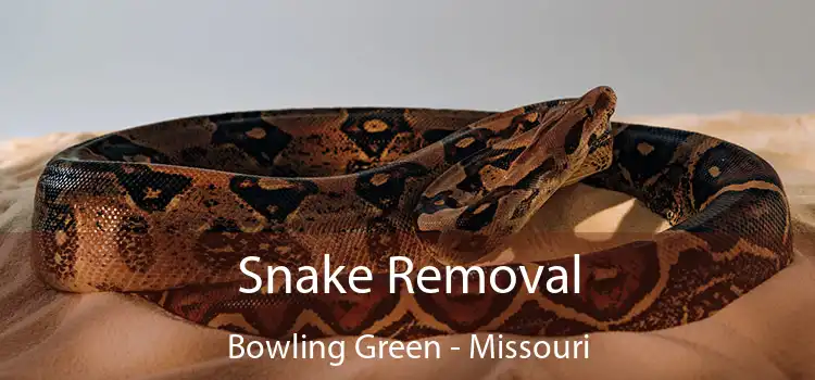 Snake Removal Bowling Green - Missouri