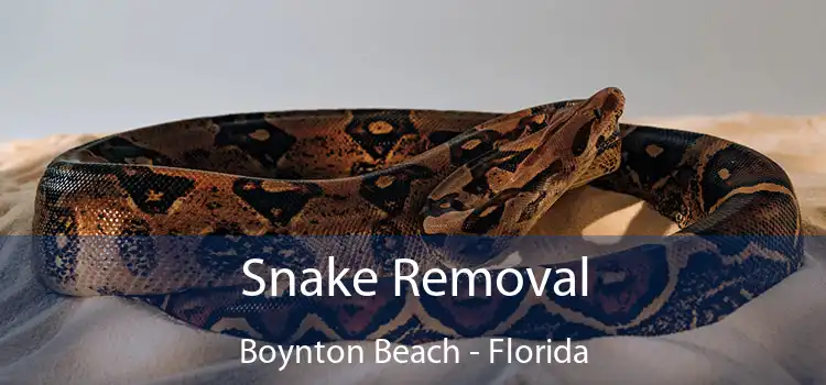 Snake Removal Boynton Beach - Florida