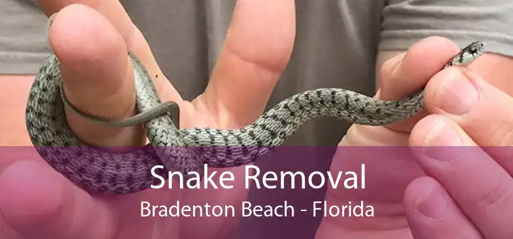 Snake Removal Bradenton Beach - Florida