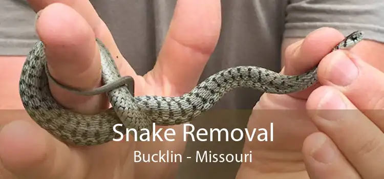 Snake Removal Bucklin - Missouri