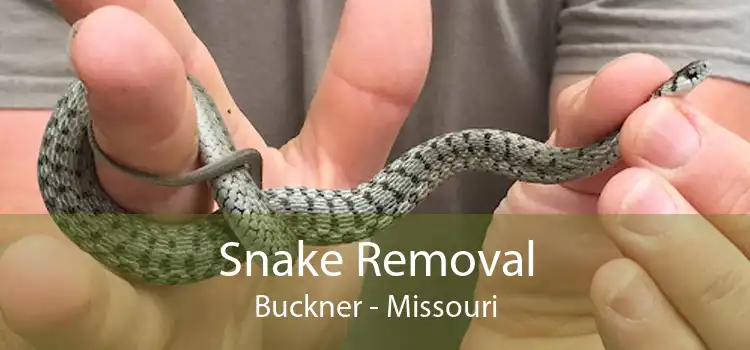Snake Removal Buckner - Missouri