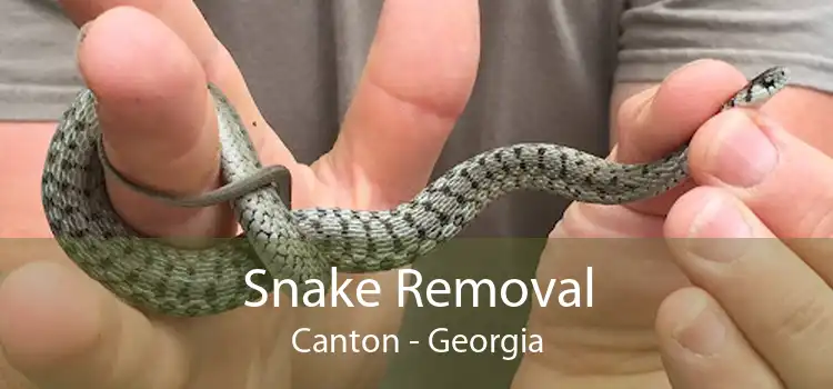 Snake Removal Canton - Georgia