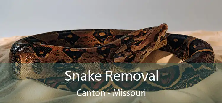 Snake Removal Canton - Missouri