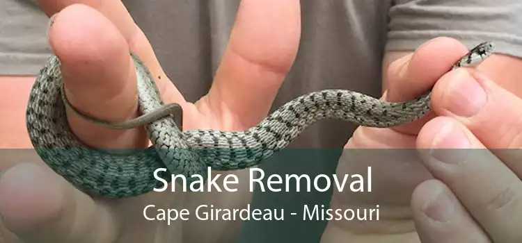 Snake Removal Cape Girardeau - Missouri