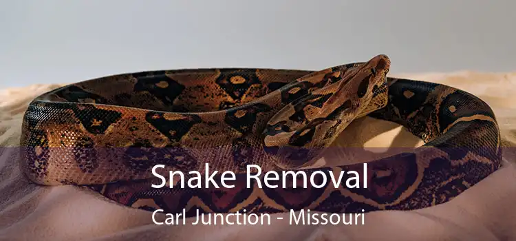 Snake Removal Carl Junction - Missouri