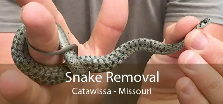 Snake Removal Catawissa - Missouri