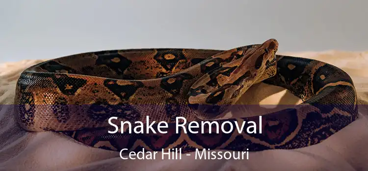 Snake Removal Cedar Hill - Missouri