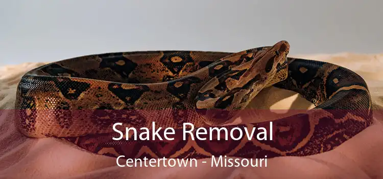 Snake Removal Centertown - Missouri