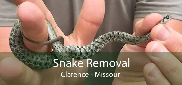Snake Removal Clarence - Missouri