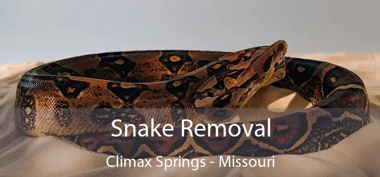 Snake Removal Climax Springs - Missouri