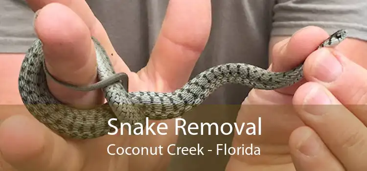 Snake Removal Coconut Creek - Florida