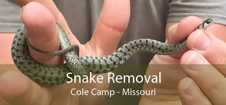 Snake Removal Cole Camp - Missouri