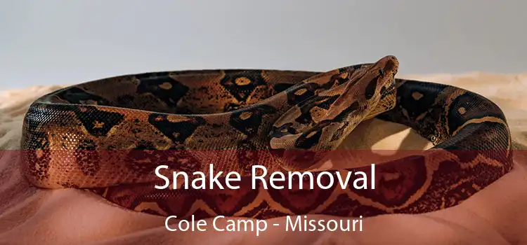 Snake Removal Cole Camp - Missouri