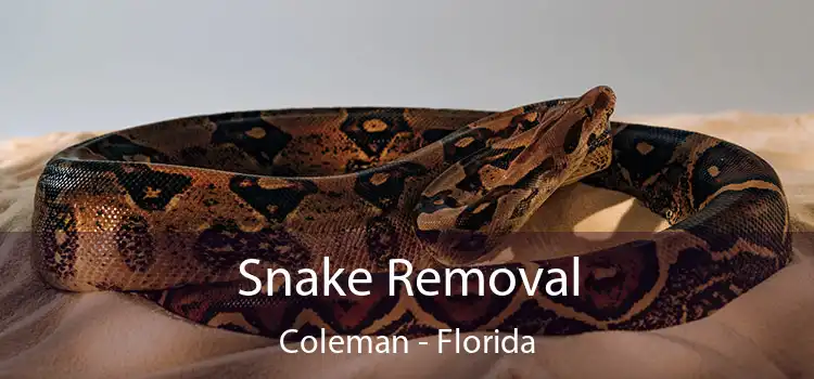 Snake Removal Coleman - Florida