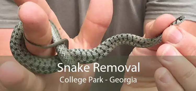 Snake Removal College Park - Georgia
