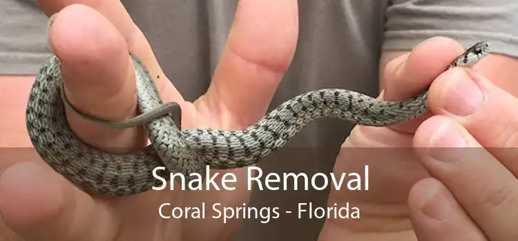 Snake Removal Coral Springs - Florida