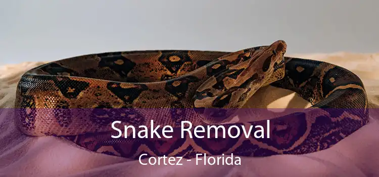 Snake Removal Cortez - Florida