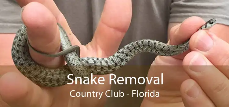 Snake Removal Country Club - Florida