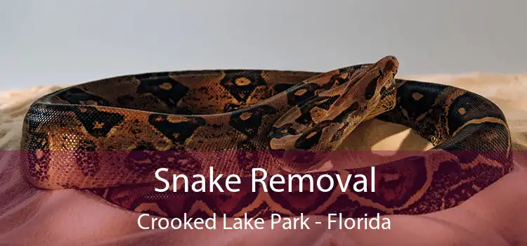 Snake Removal Crooked Lake Park - Florida