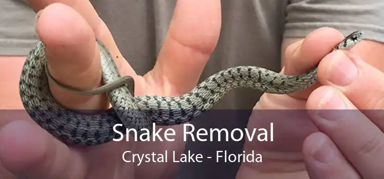 Snake Removal Crystal Lake - Florida