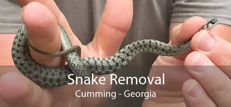 Snake Removal Cumming - Georgia