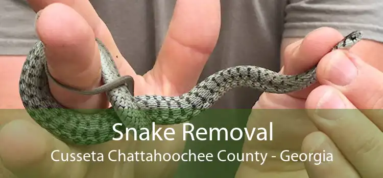 Snake Removal Cusseta Chattahoochee County - Georgia