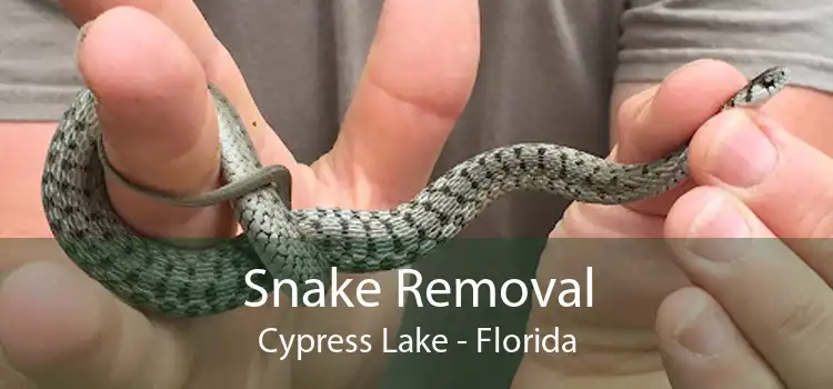 Snake Removal Cypress Lake - Florida