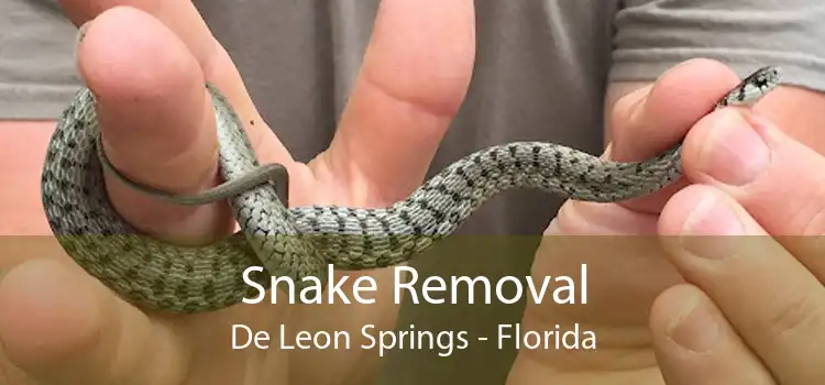 Snake Removal De Leon Springs - Florida
