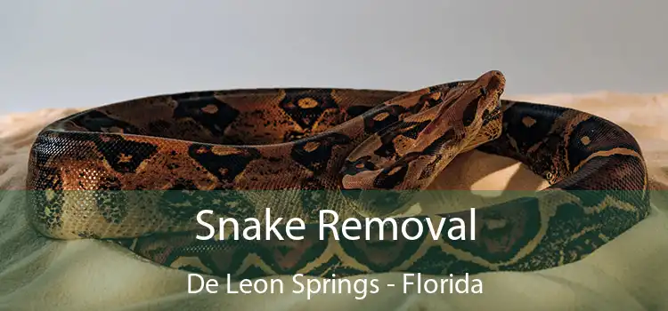 Snake Removal De Leon Springs - Florida