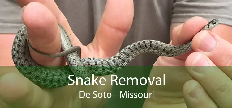 Snake Removal De Soto - Missouri