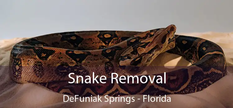 Snake Removal DeFuniak Springs - Florida