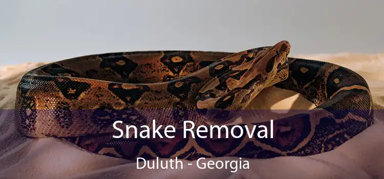 Snake Removal Duluth - Georgia