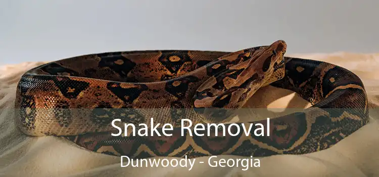 Snake Removal Dunwoody - Georgia