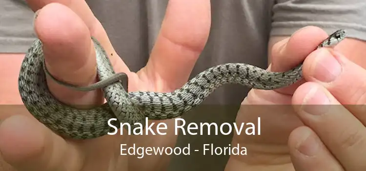 Snake Removal Edgewood - Florida