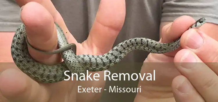 Snake Removal Exeter - Missouri