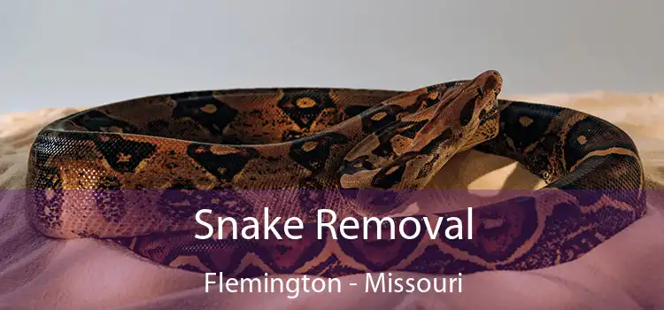 Snake Removal Flemington - Missouri