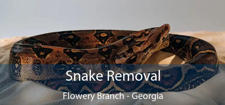 Snake Removal Flowery Branch - Georgia