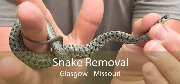 Snake Removal Glasgow - Missouri
