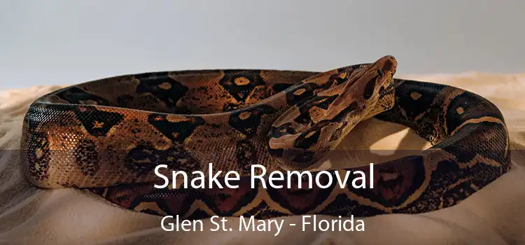 Snake Removal Glen St. Mary - Florida
