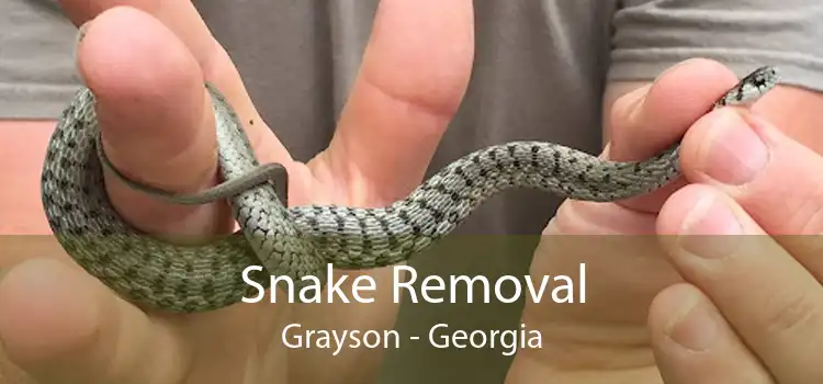 Snake Removal Grayson - Georgia