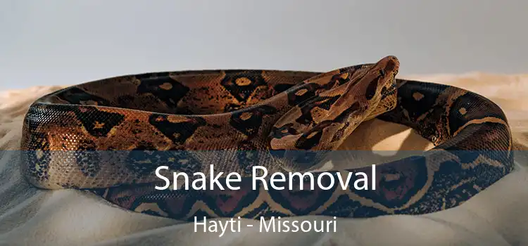 Snake Removal Hayti - Missouri