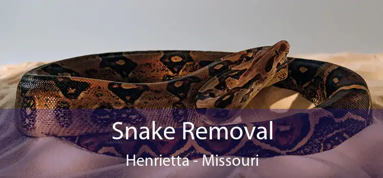 Snake Removal Henrietta - Missouri