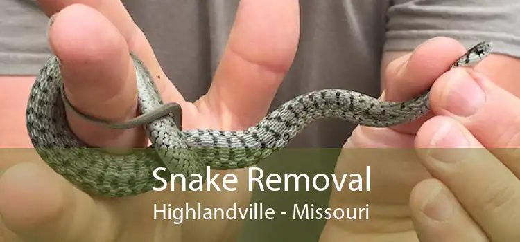 Snake Removal Highlandville - Missouri