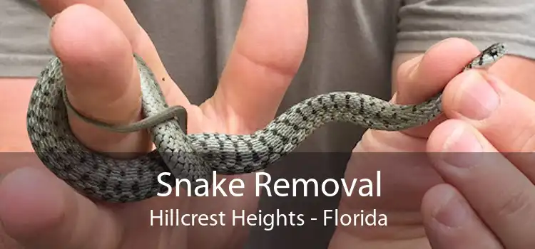 Snake Removal Hillcrest Heights - Florida